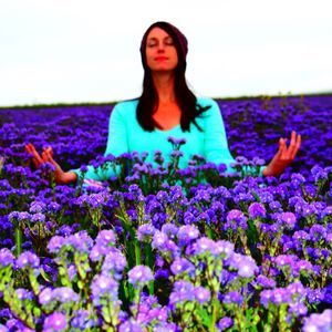 Meet your Posher, Robin